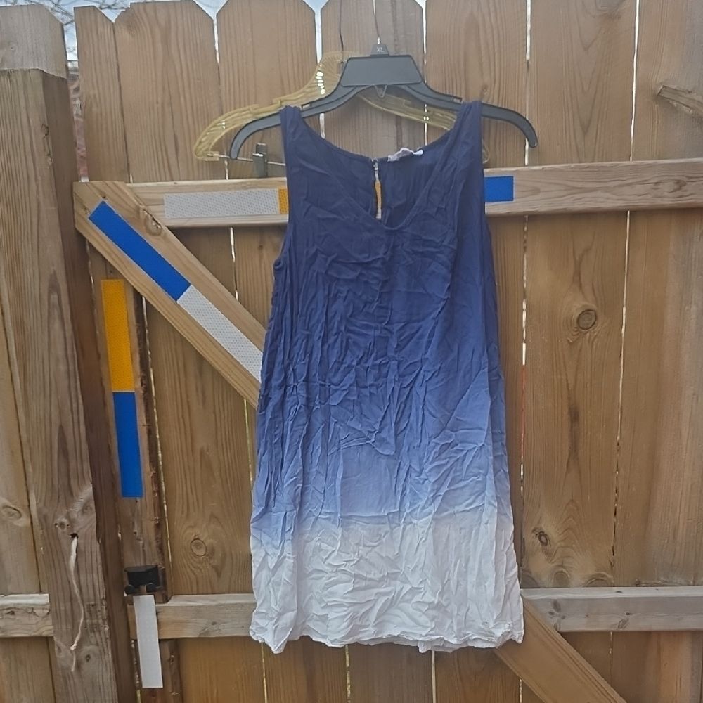 BB Dakota Navy and White Ombre Mini Dress